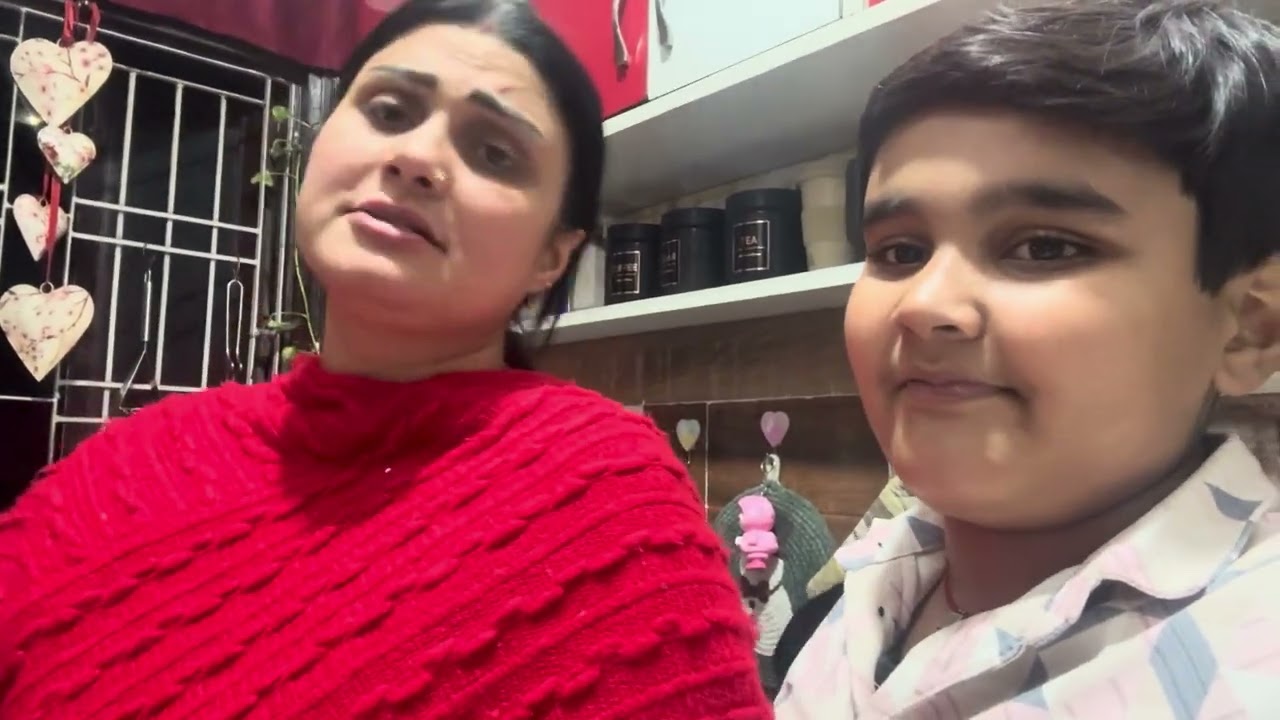 Day 91 | just a lazy day of my life #familyvlogs #dailyvlog #varshakiduniya 