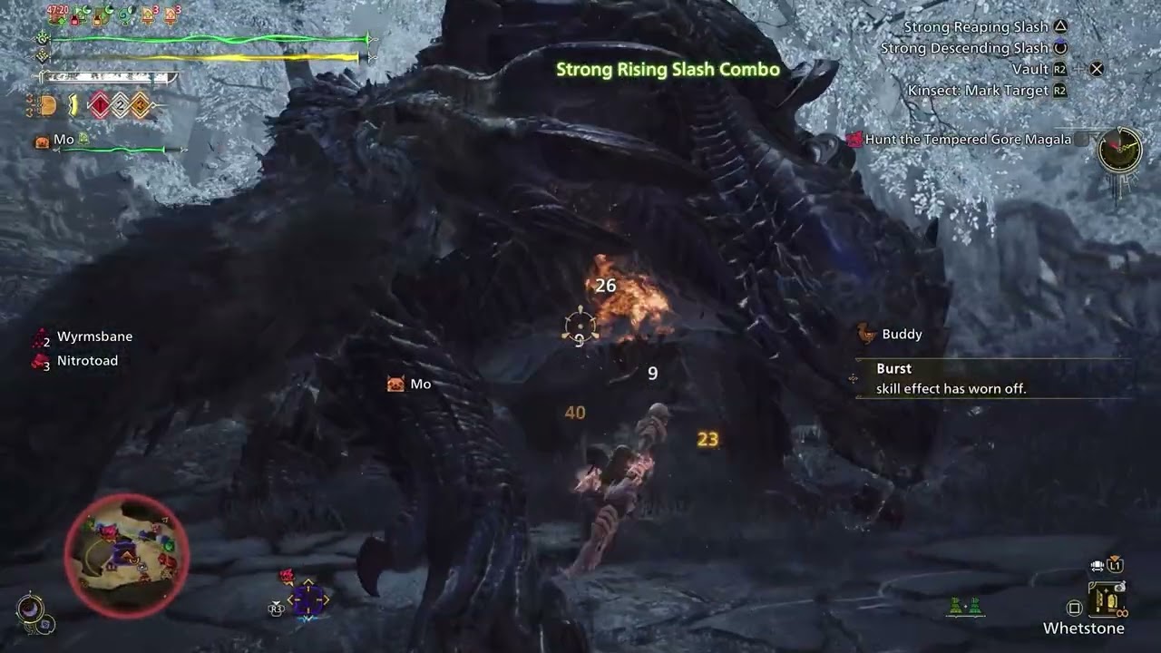 Hunt of the Day 1/28/26 Gore Magala VS  Insect Glaive