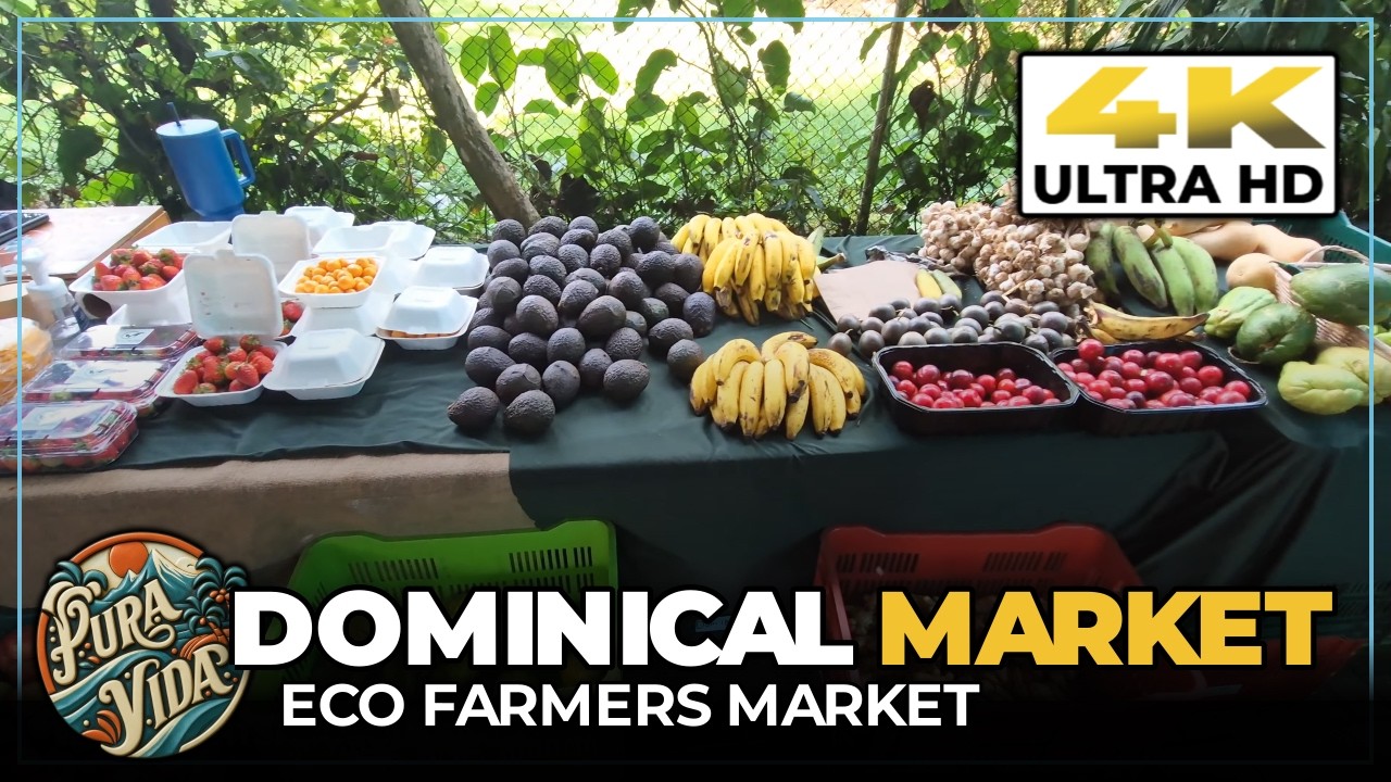 TOUR Of DOMINICAL, Costa Rica + Eco Market 🏖️ Beach Walk #travel #tourism