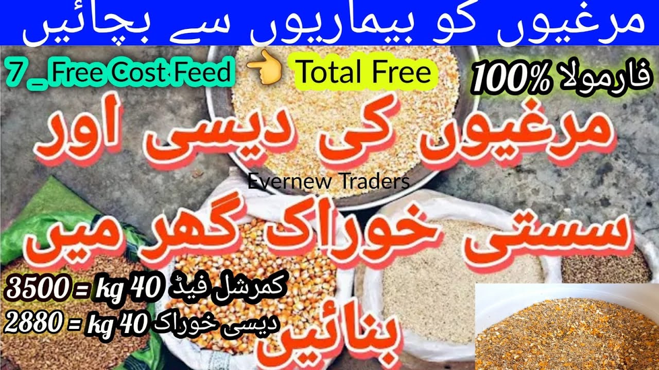 Murgi ki feed banany ka tarika |Home made poultry feed making proces|How to reduce feed cost in farm