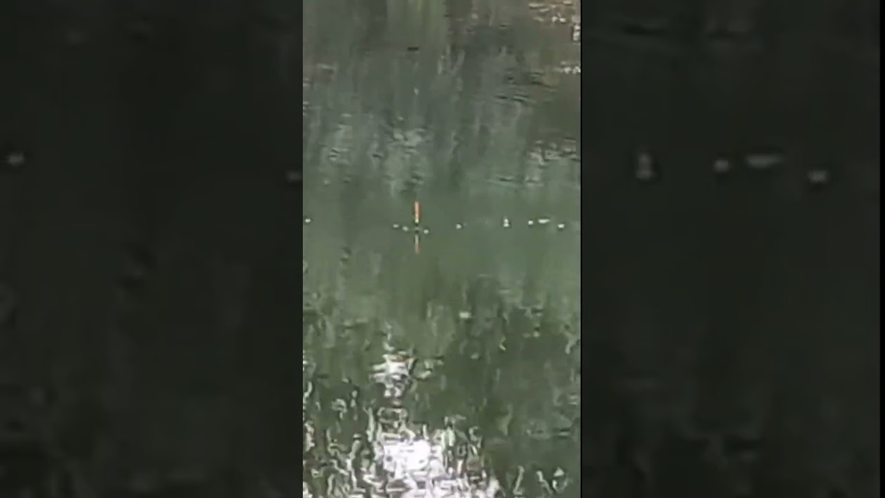 Tench fishing, 