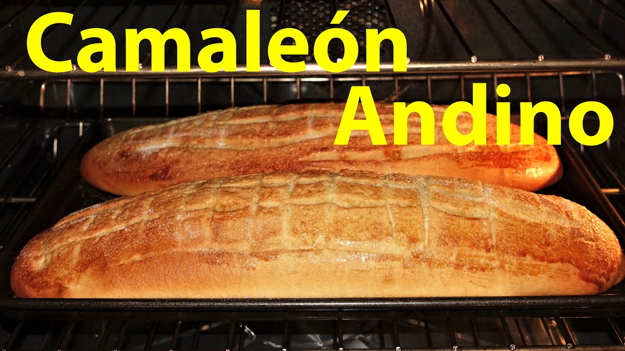 Receta de pan dulce Andino Camaleon paso a paso