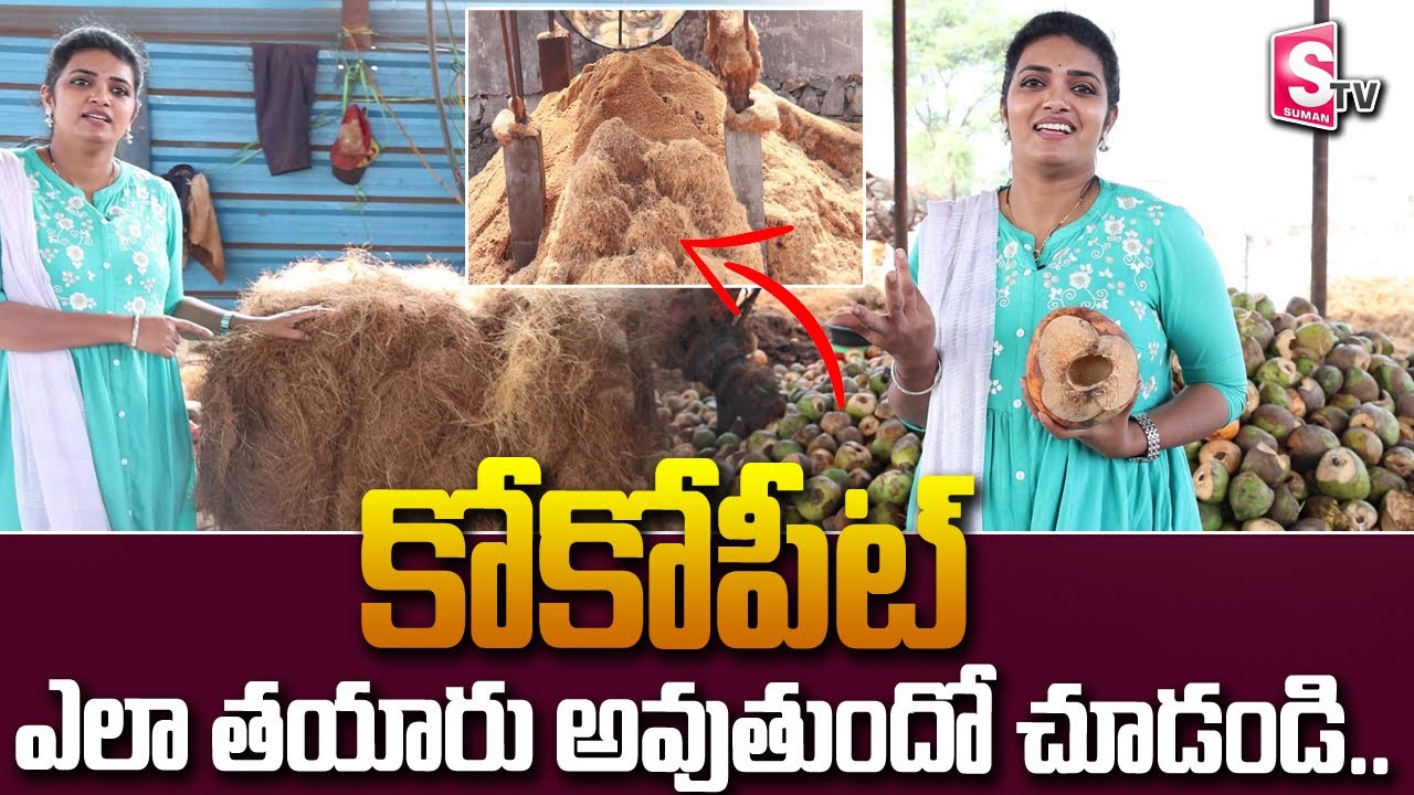 How to Make Cocopeat | Recycling Coconut Husks | Coco Peat Making Machine | Cocopeat | SumanTVTelugu