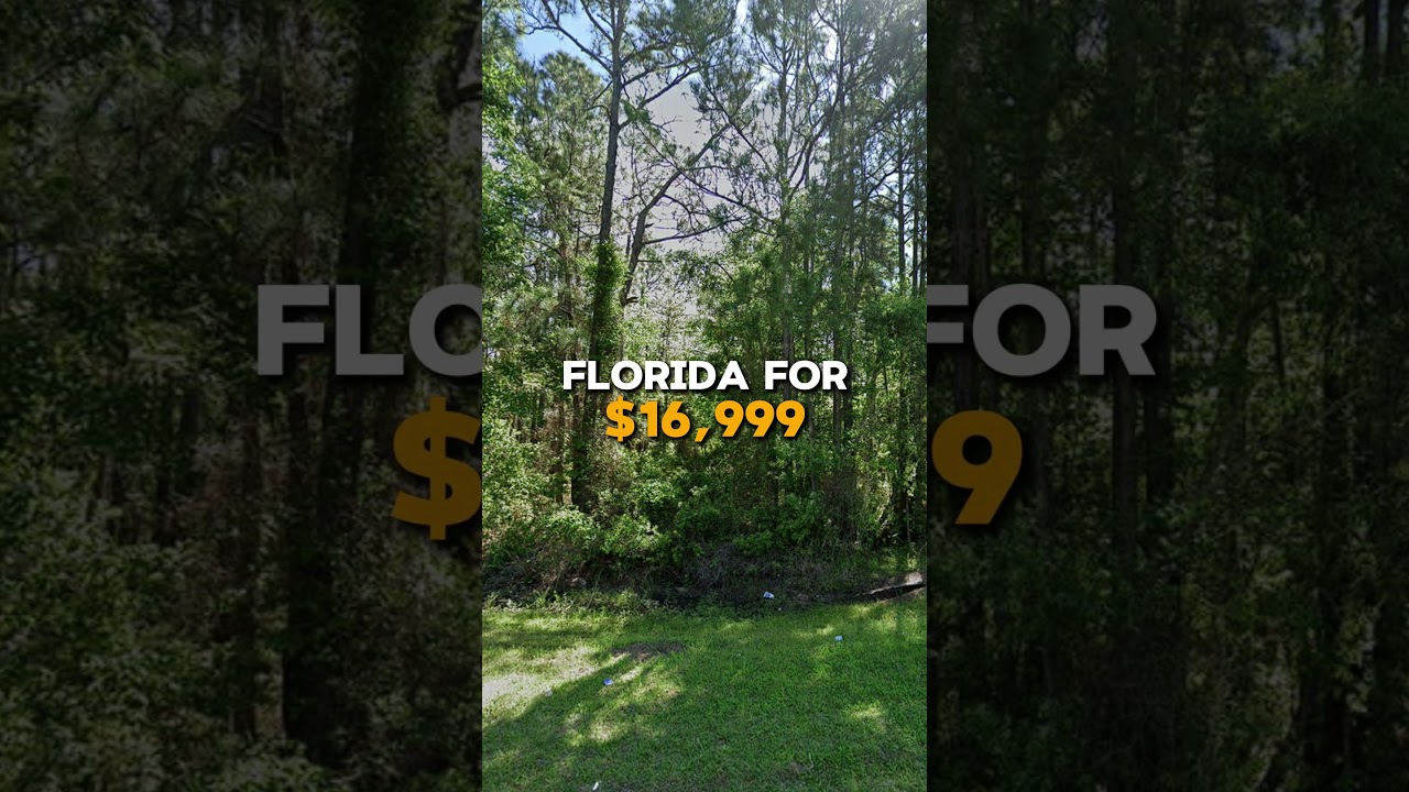 1.14 Acres for Sale in Palatka, Florida for $16,999