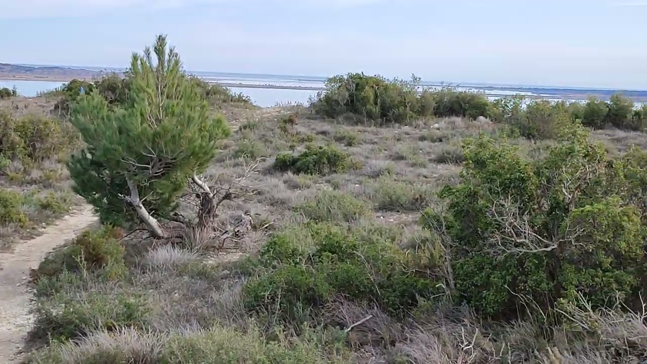 Randonnée, Bages , Peyriac de Mer 3 février 2022