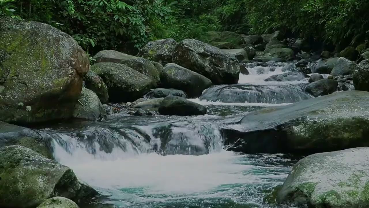 Nature Sounds of a Forest River for Relaxing-Natural meditation music of a Waterfall & Bird Sounds..