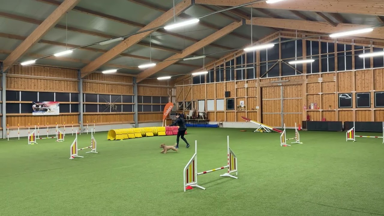 Trénink s Uriášem_konec ledna 2026