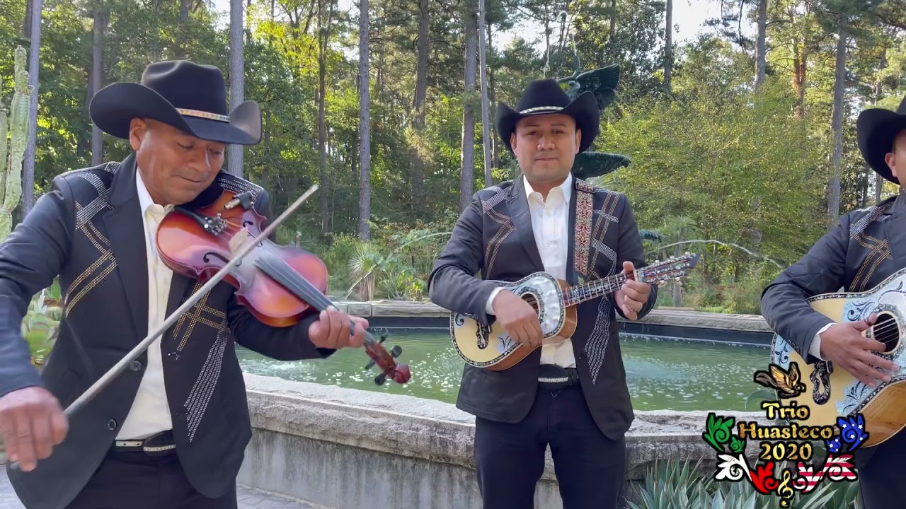 “EL TAO TAO”