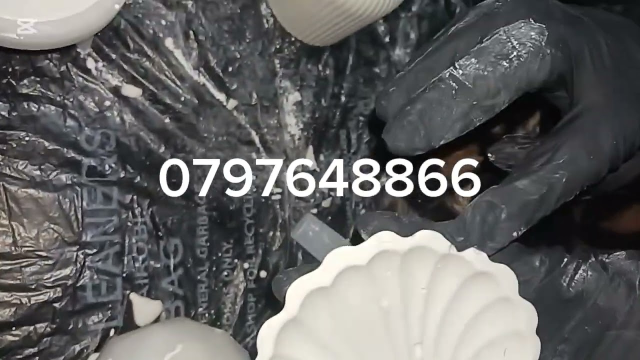 Gabdho kalaya  xirfadan barta#