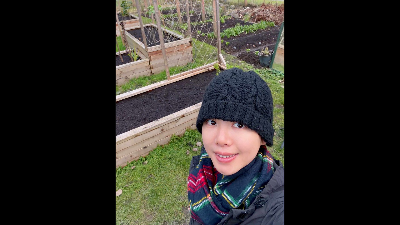 开启蔬菜种植季