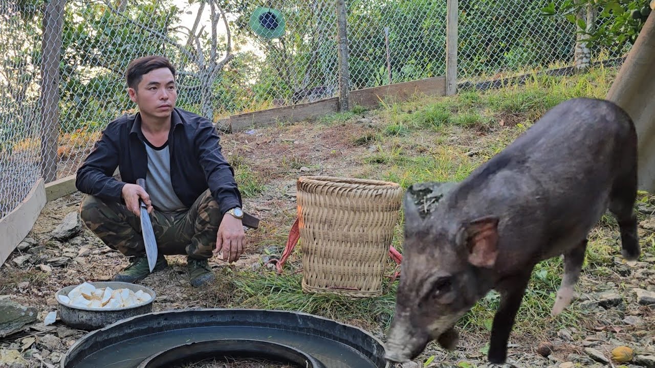 The young man expanded his farm to raise pigs and cook incredibly delicious snail dishes.
