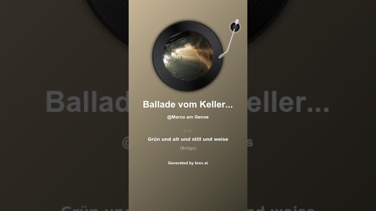 Ballade vom Kellerwald