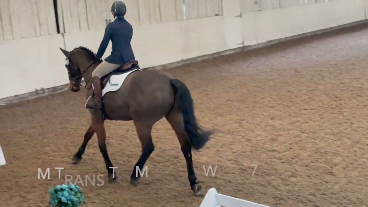 Prelim 2 2024 Dressage Test With Annotation 73.48%