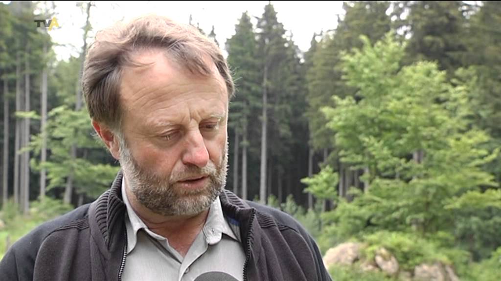 Wildpoldsried bekommt Gegenwind: Die Erweiterung des Windparks sorgt für Diskussionen