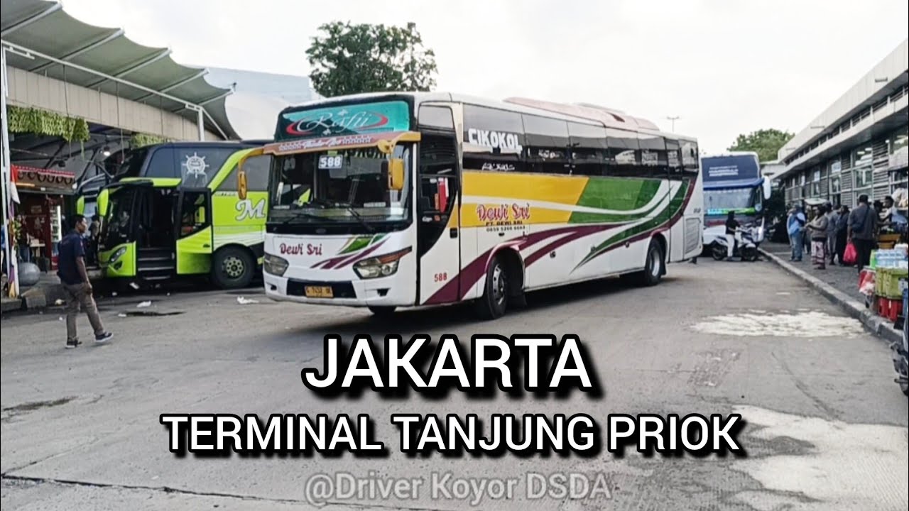 Bus Dewisri Tanjung Priok Tujuan Tegal,Slawi,purwokerto dan Jakarta Pemalang pekalongan