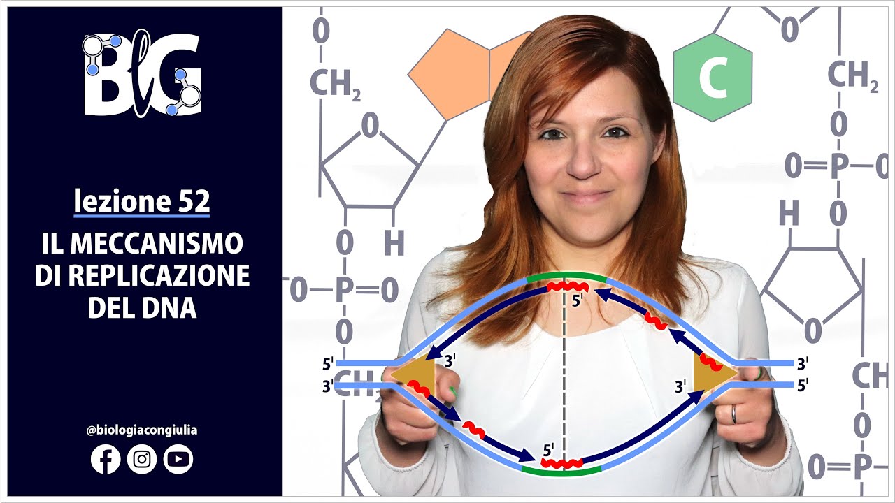 Il MECCANISMO di REPLICAZIONE del DNA