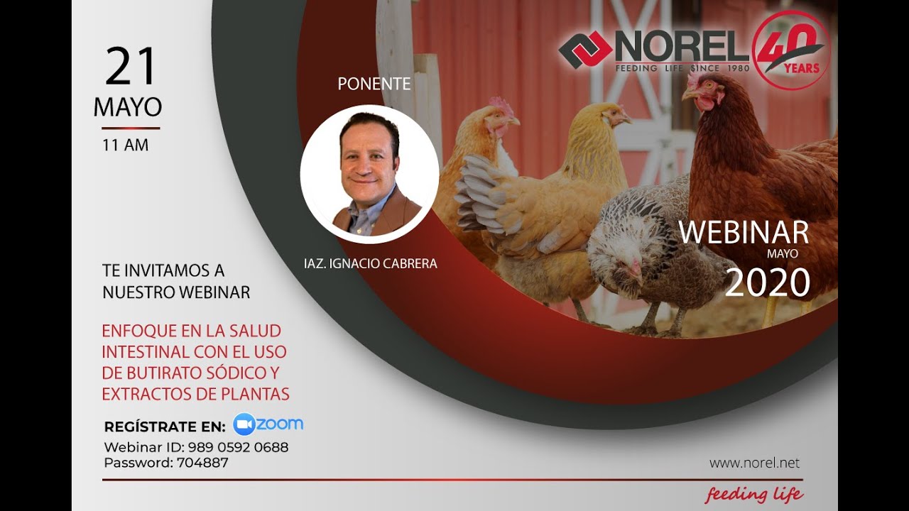 WEBINAR NOREL: ENFOQUE EN LA SALUD INTESTINAL CON EL USO DE BUTIRATO SÓDICO Y EXTRACTOS DE PLANTAS