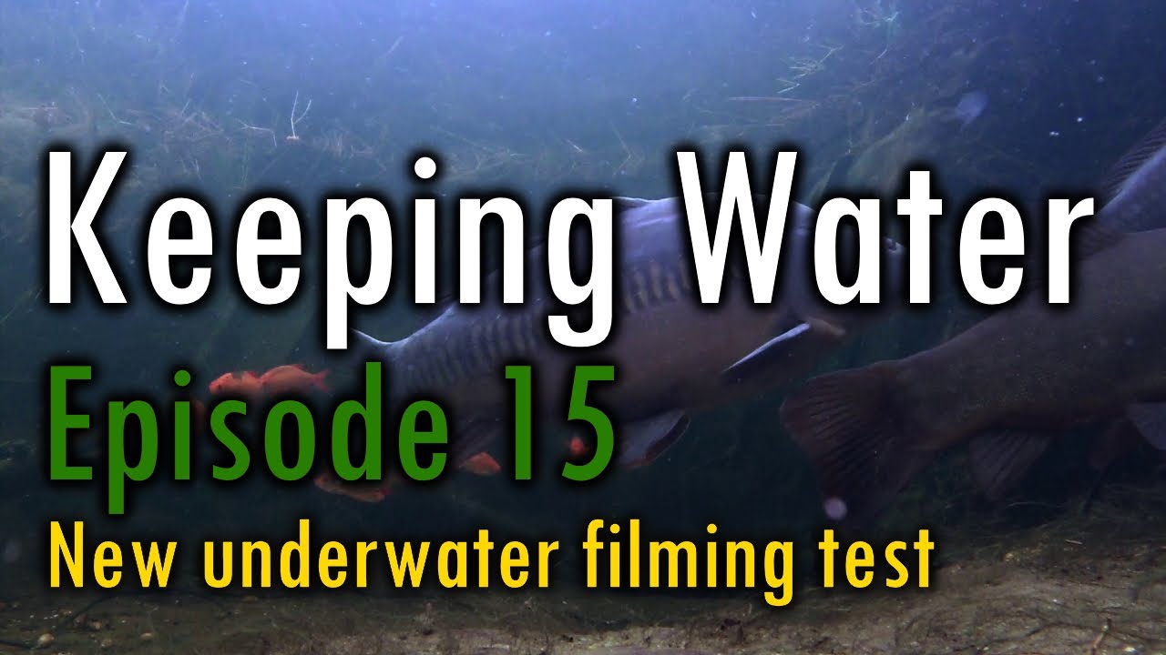Episode 15: New underwater filming test