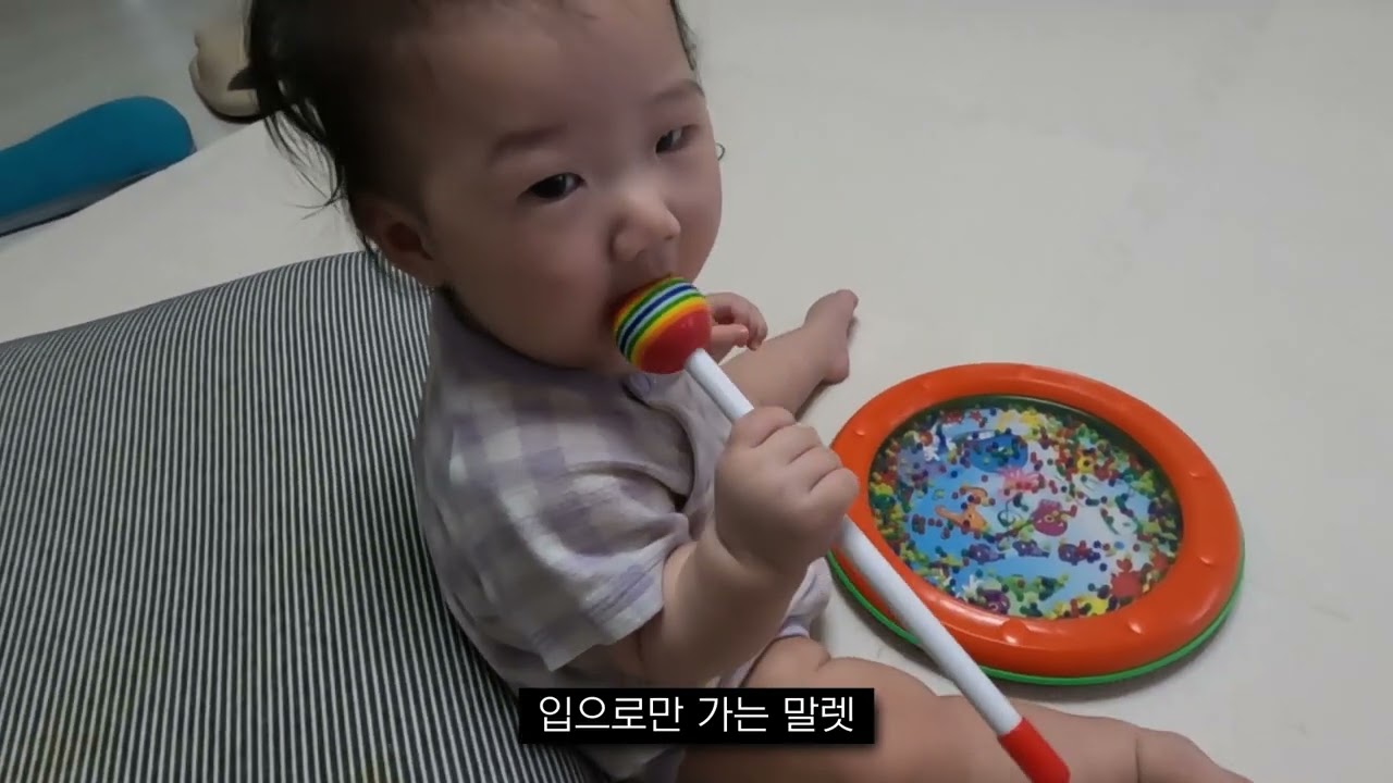 7개월 햄이의 평일~ (232일)