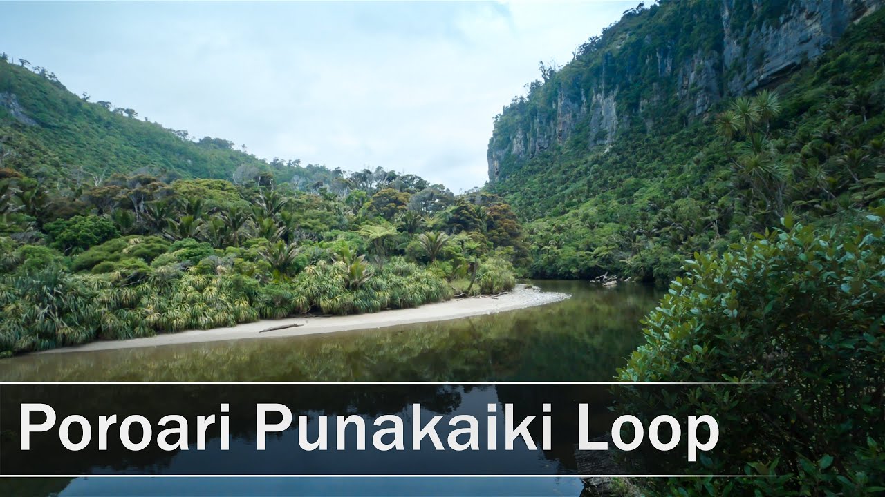 Poroari Punakaiki Loop, West Coast, New Zealand | 4K