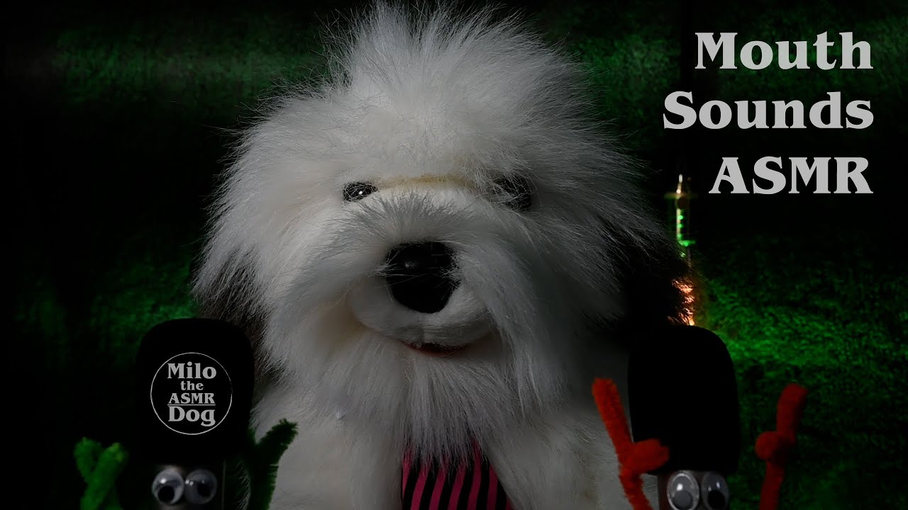 ASMR Mouth Sounds with Mic Chewing!