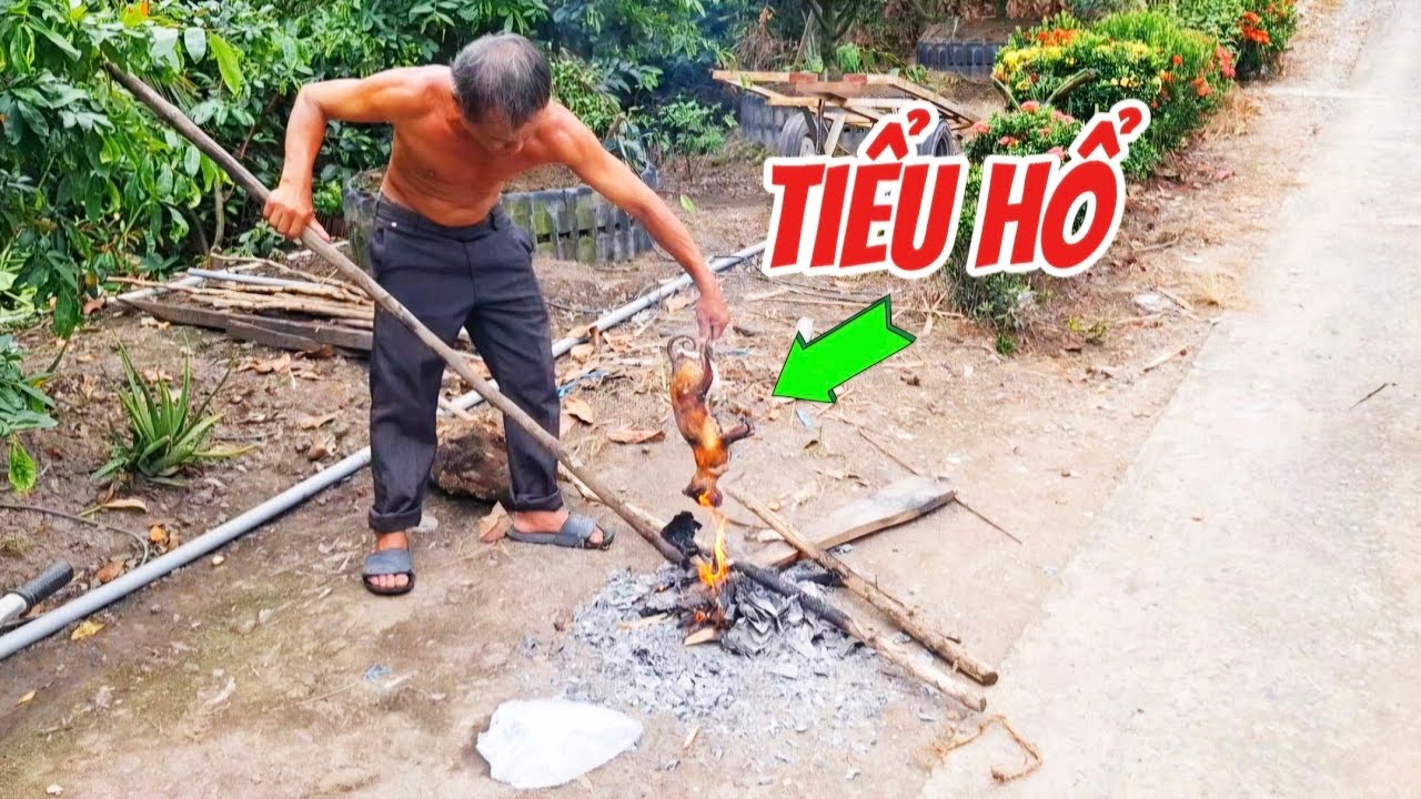 Cách chế biến món Tiểu Hổ cực ngon - Miền Quê Dân Dã