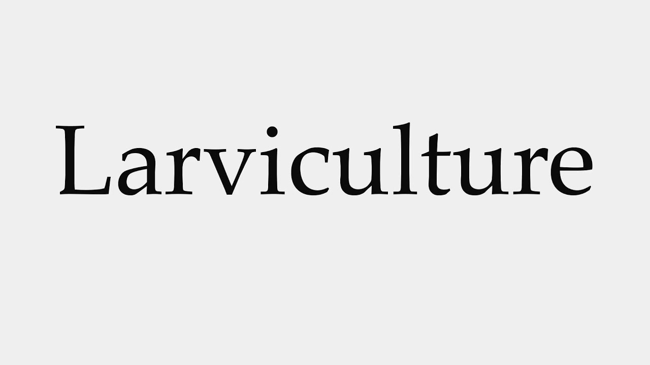 How to Pronounce Larviculture