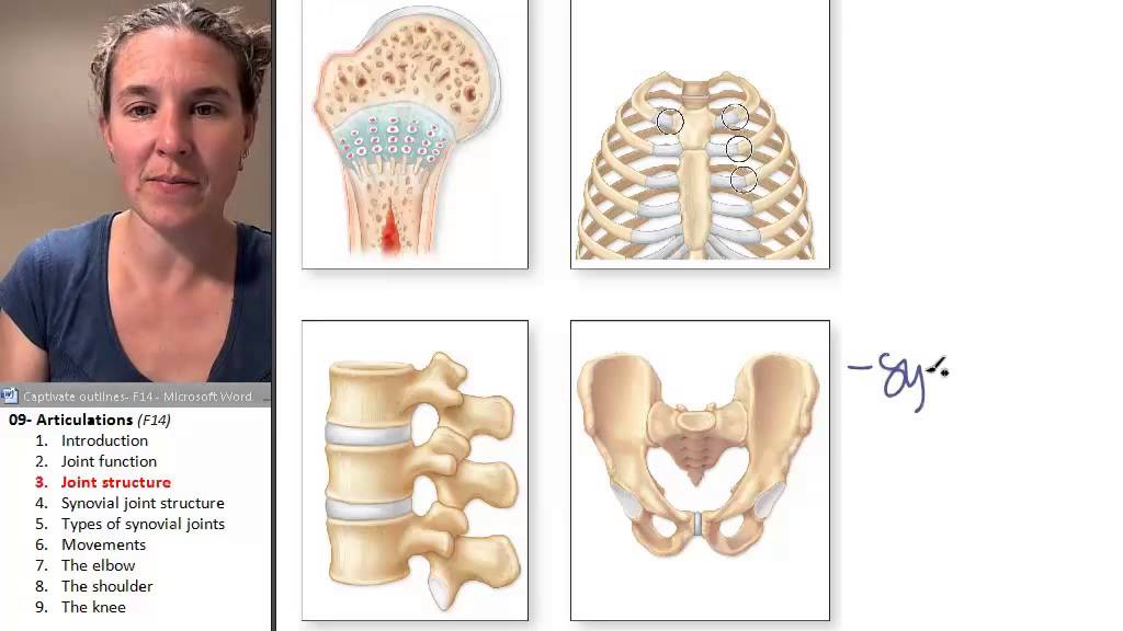 Articulations 3- Joint structures