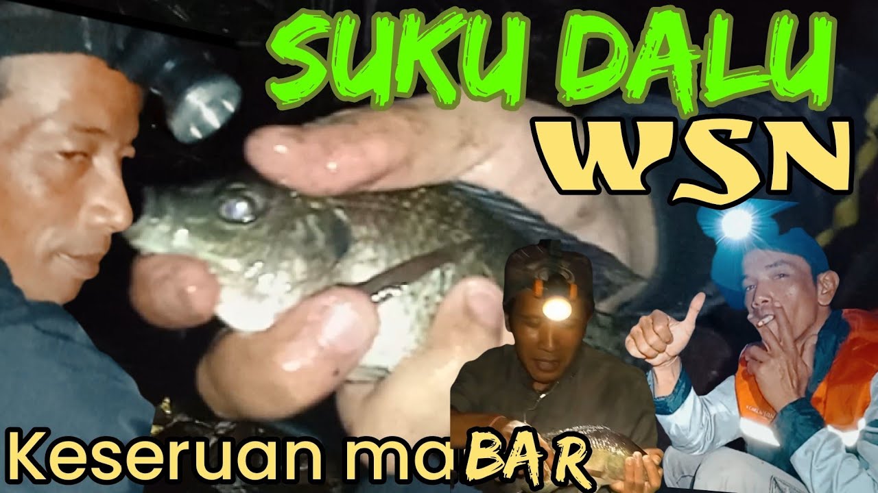 KESERUAN MANCING BARENG DI MALAM HARI‼️mancing ikan nila waduk selorejo ngantang @kharizmaputra 
