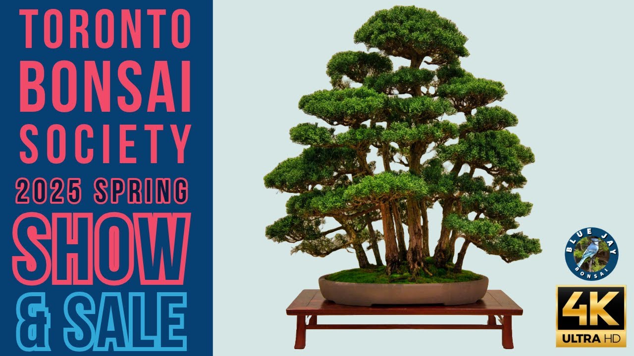 2025 Toronto Bonsai Society Spring Show & Sale