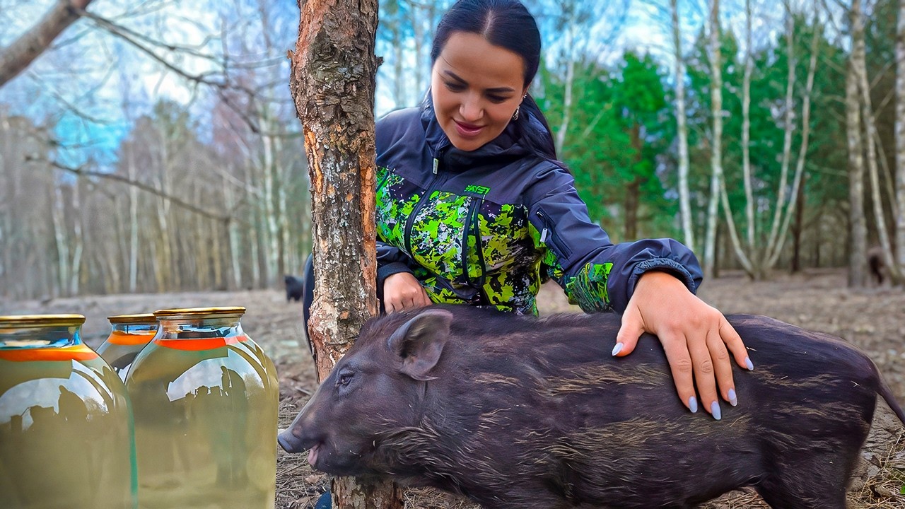 HARMONY Between Man and Animals! 🌿🐖 Discover Birch SAP Harvesting!