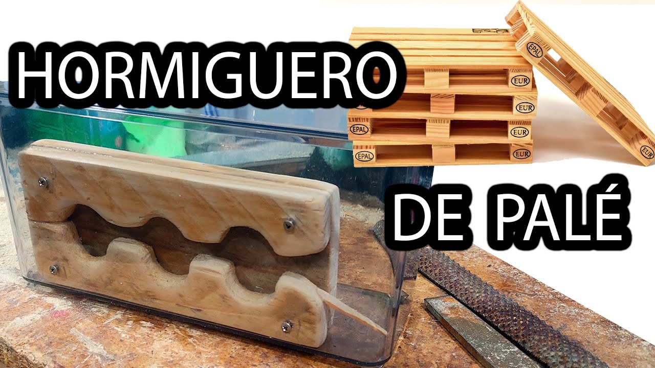 Hormiguero Casero de Madera con Pallet y con Herramientas Manuales