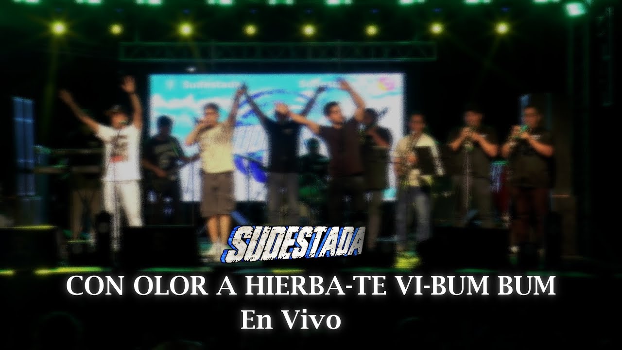 Sudestada - Olor a Hierba, Te vi, Bum bum ( EN VIVO )