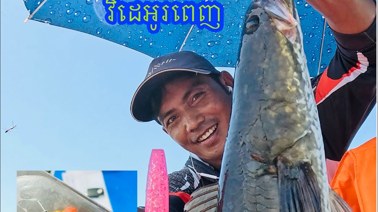 Fun Fishing for Snakehead Fish in Tonle Sap Great Lake of Cambodia 