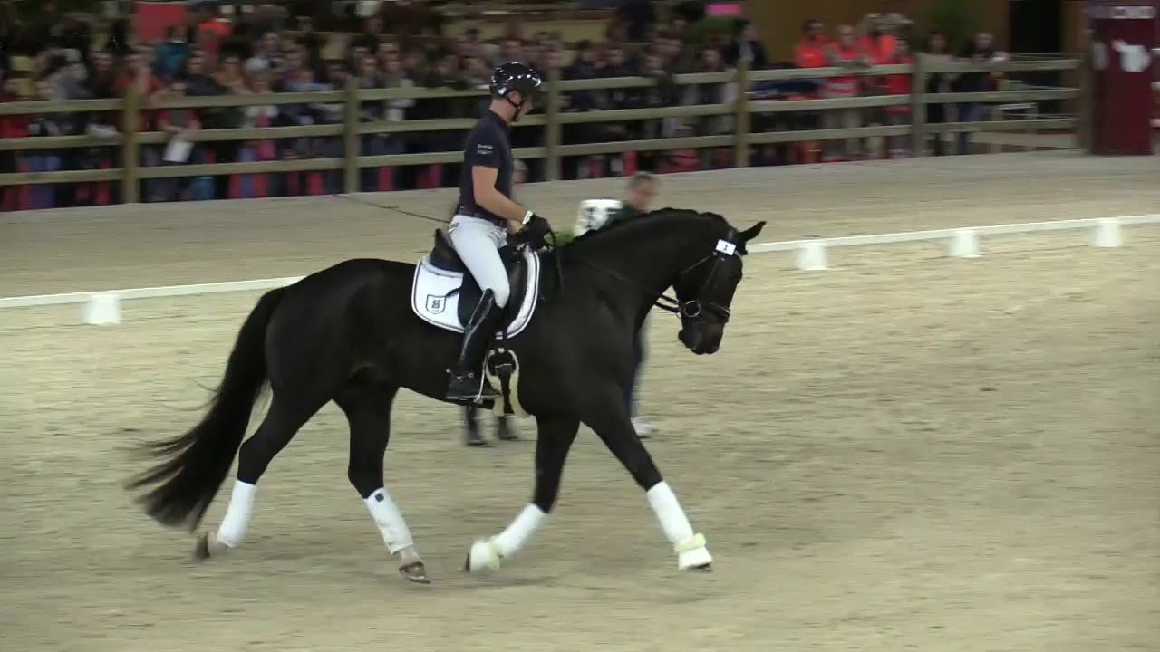 Jeunes Talents 2019 - Clinic Dressage Isabell Werth - KIR ROYAL et Julien Vincent