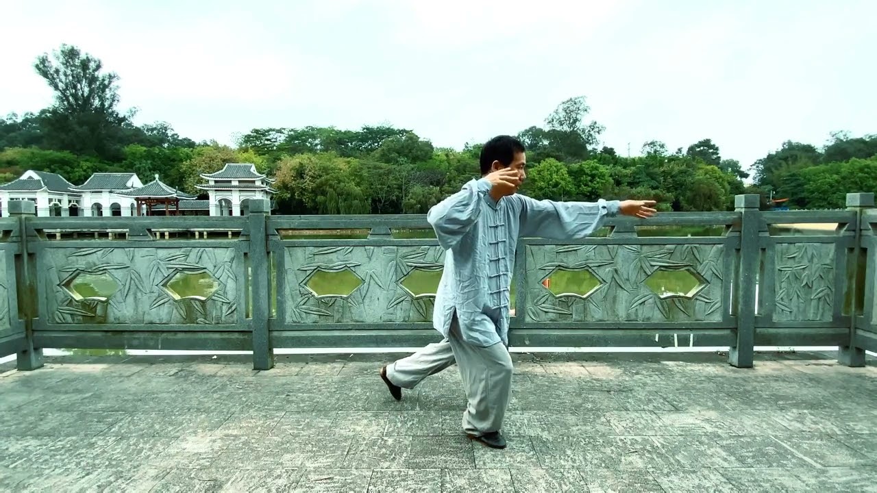 太极拳倒撵猴基本功讲解，经常练这两个动作，可疏通经络周身轻灵