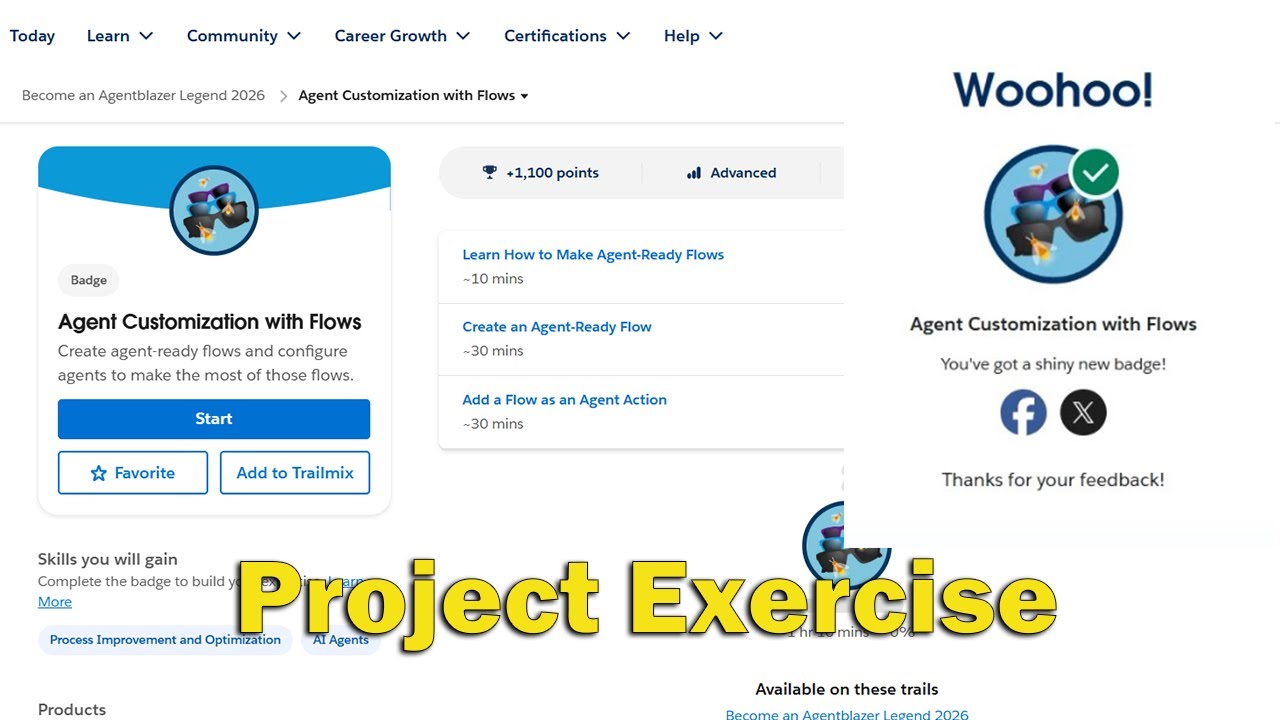 Agent Customization with Flows Follow Along Project Exercise