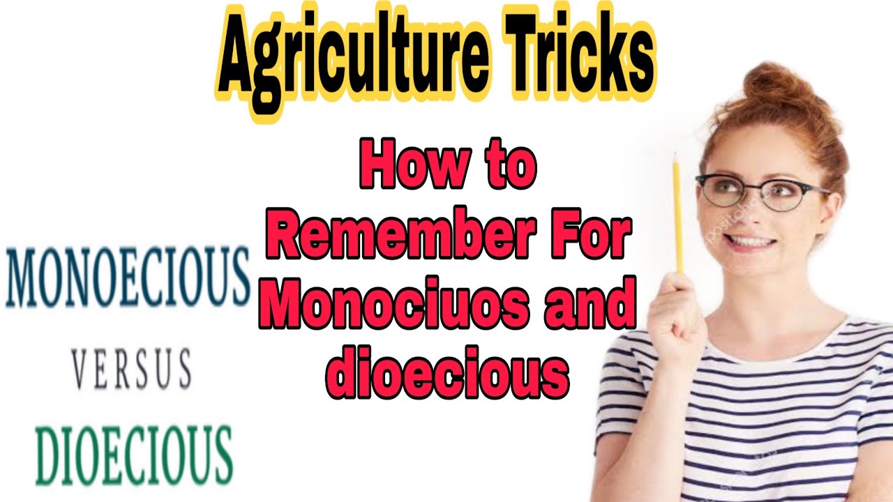 Monoecious and dioecious in English //Hindi याद करें आसान ट्रिक से अब सब कुछ याद होगा चुटकियों में