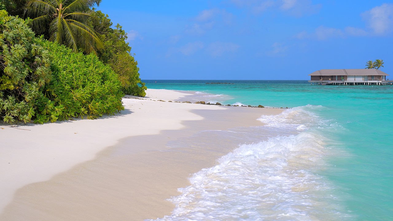 Maldives Beach 4K 🏝 Turquoise Water, White Sand and Ocean Sounds