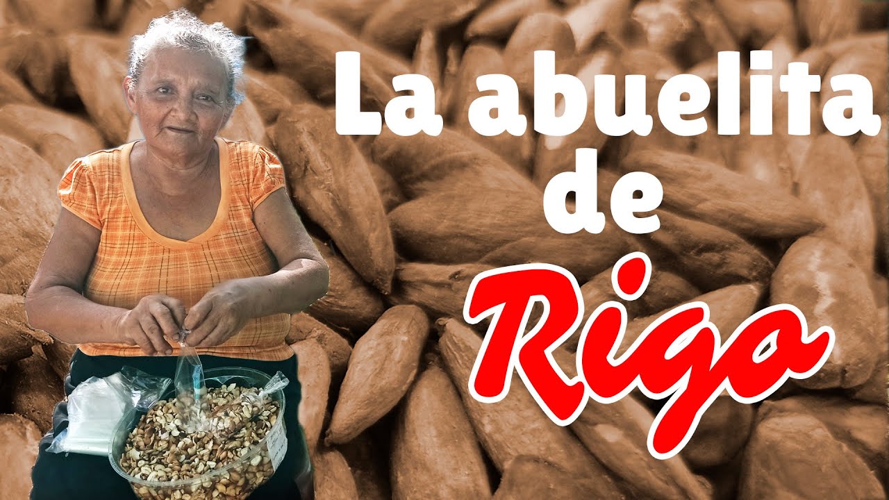 Como se extrae la semilla de almendra para subsistir en El Salvador Youtubero Salvadoreño