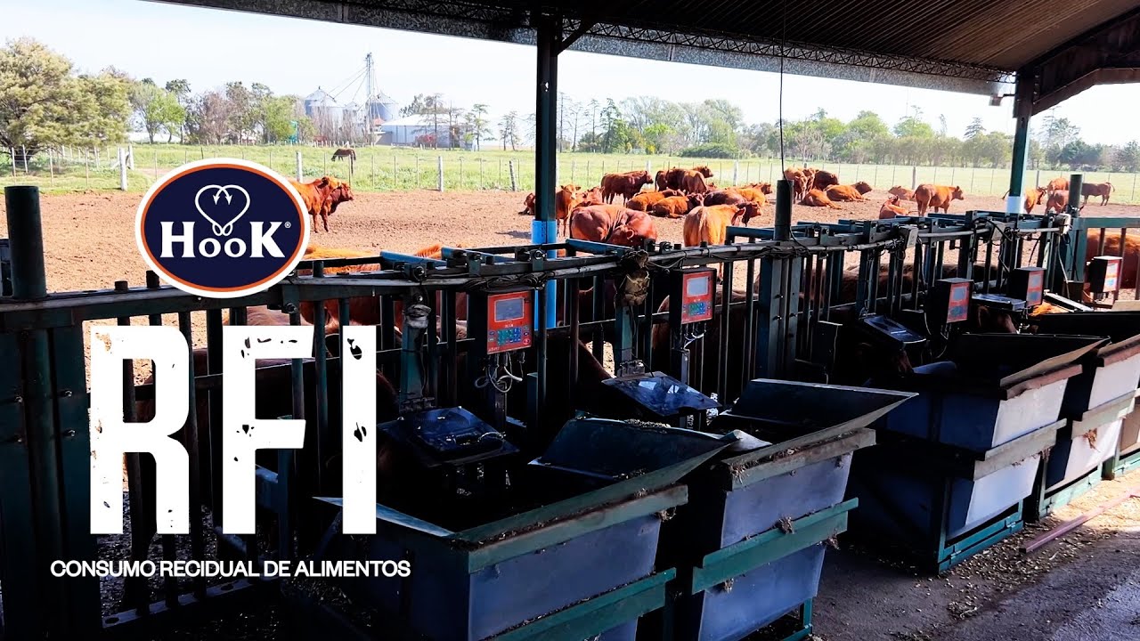 RFI - LA TREGUA SANTA COLOMA