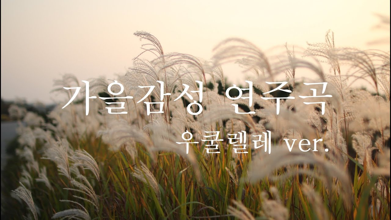 [알로하 List] 🍂가을감성이 느껴지는 연주곡 1시간 우쿨렐레 연주 Autumn Ukulele Play