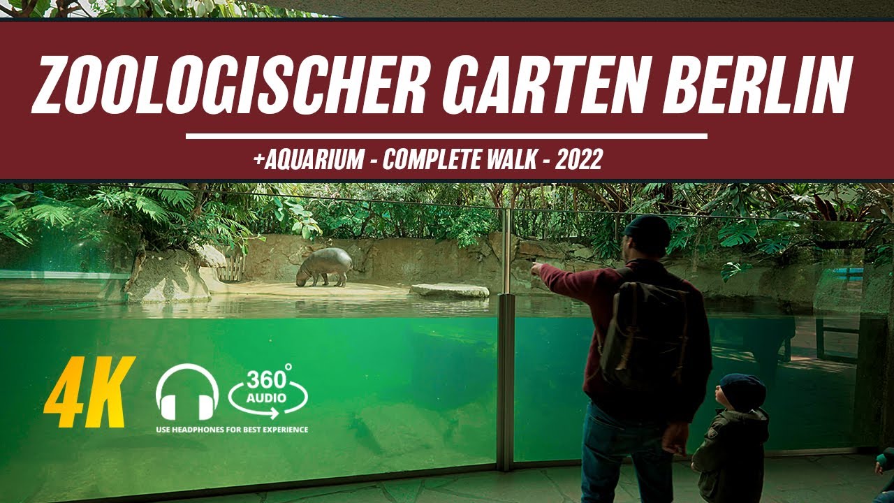 Zoologischer Garten Berlin + Aquarium vlog - full walktrough in 4k with ASMR 360 Soundscape.