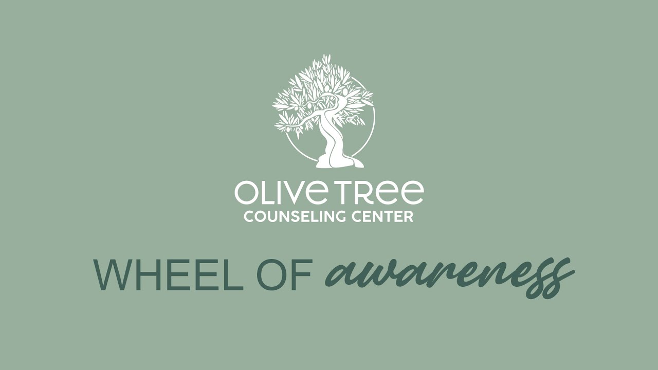 Wheel of Awareness