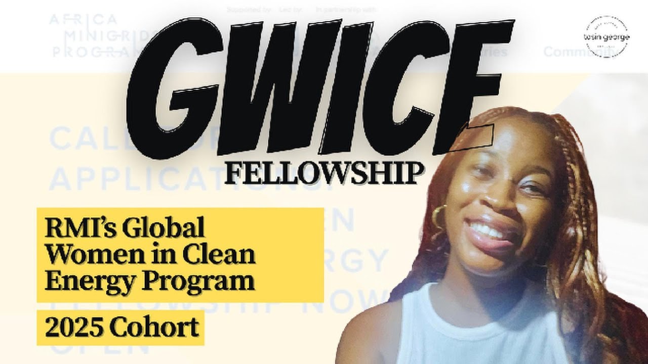 My Experience on the 2025 RMI Global Women in Clean Energy Fellowship
