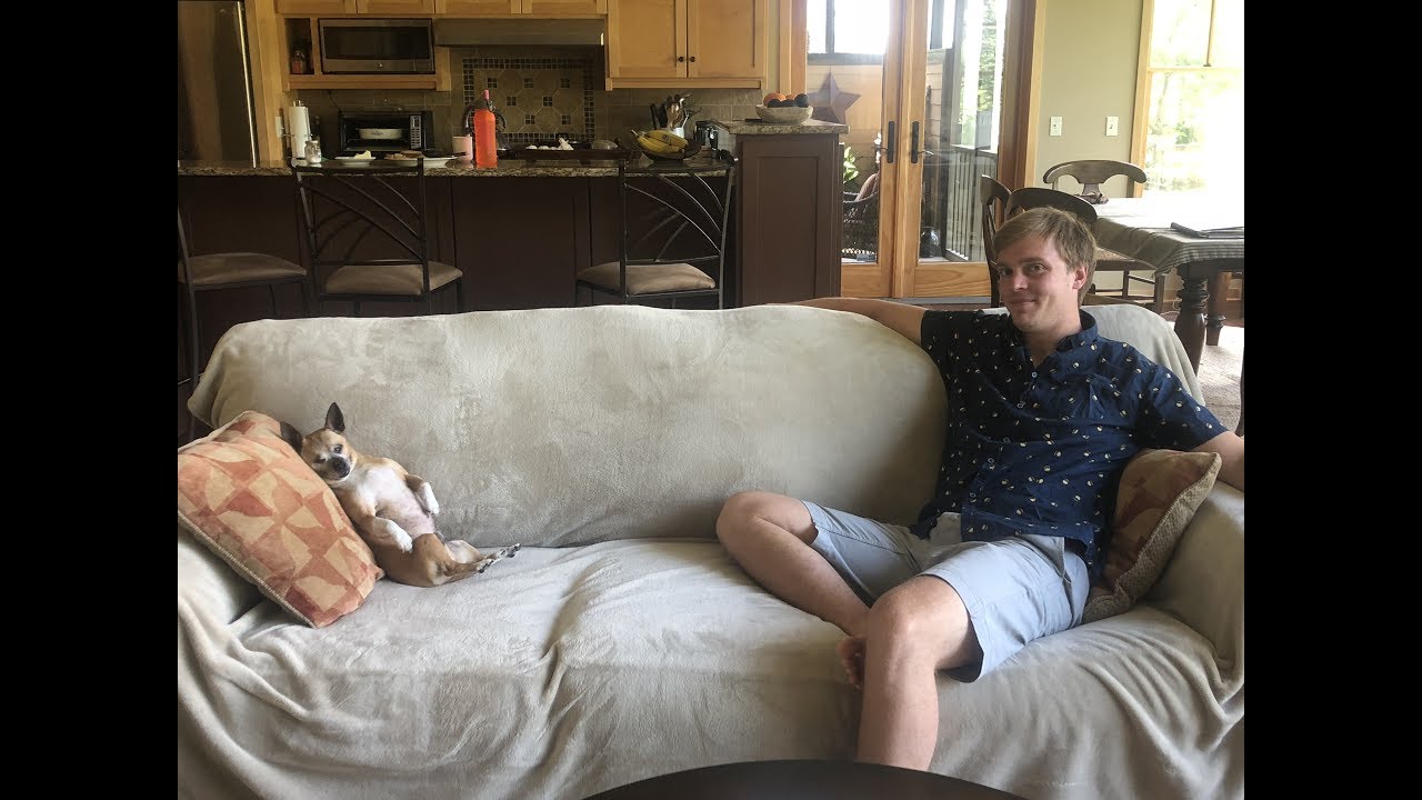 Muttville Love Stories
