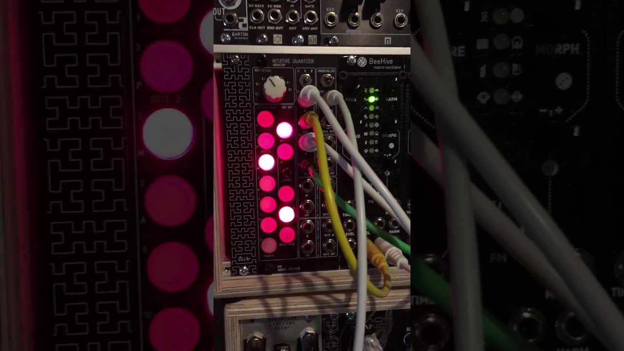 ADDAC Systems 207 Intuitive Quantizer first test