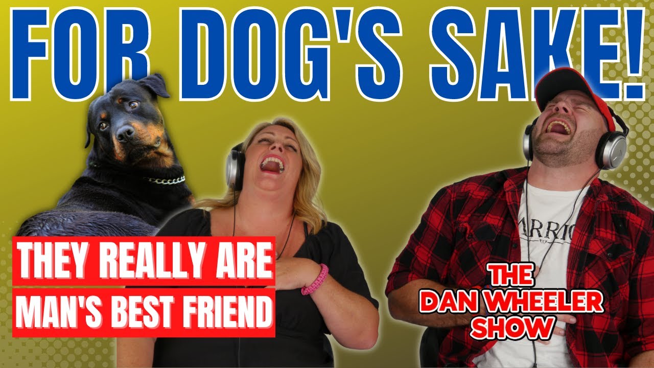 Are Rottweilers really this stupid? So cute! | The Dan Wheeler Show   Episode 7