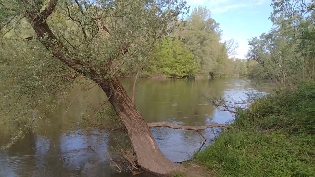 Vadvizi Horgászat. Dráva -Folyó, Vízvàr.