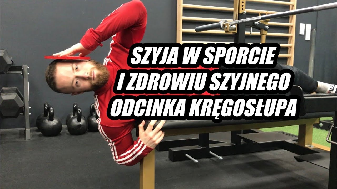 SZYJA - jej znaczenie w sporcie i zdrowiu szyjnego odcinka  kręgosłupa (anatomia + ćwiczenia)
